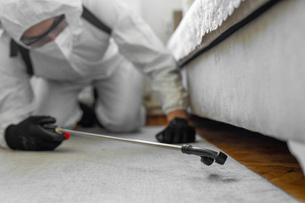 Professional Bed Bug Control technician working in Marshall County County, TN